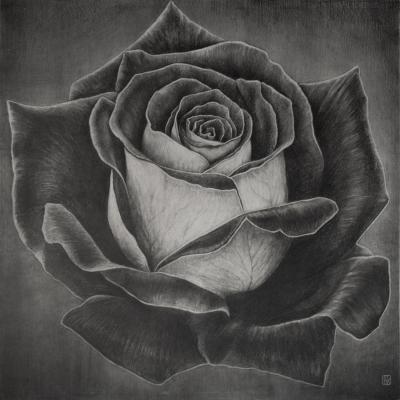 �������� ���� (���������� �����). ������� ������