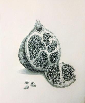 ������. ���������� �����