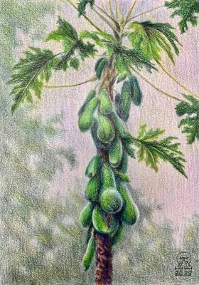 ������� �������. �������