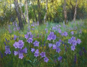 ������������. �������� �����