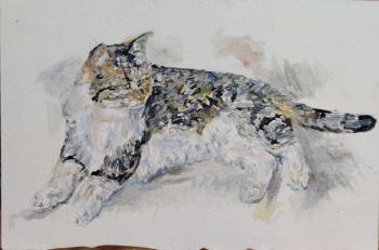 ������� ����