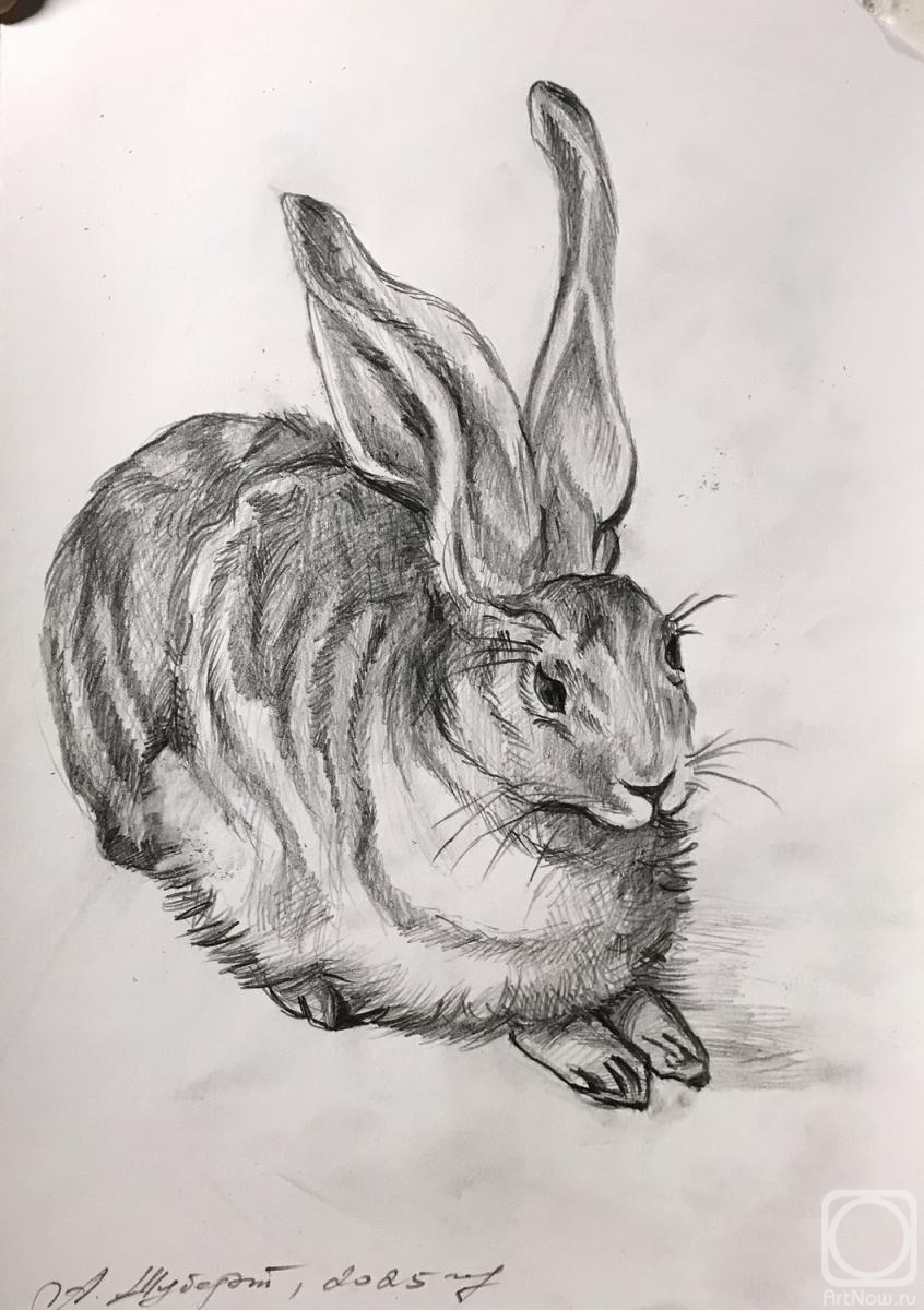 Schubert Albina. Untitled