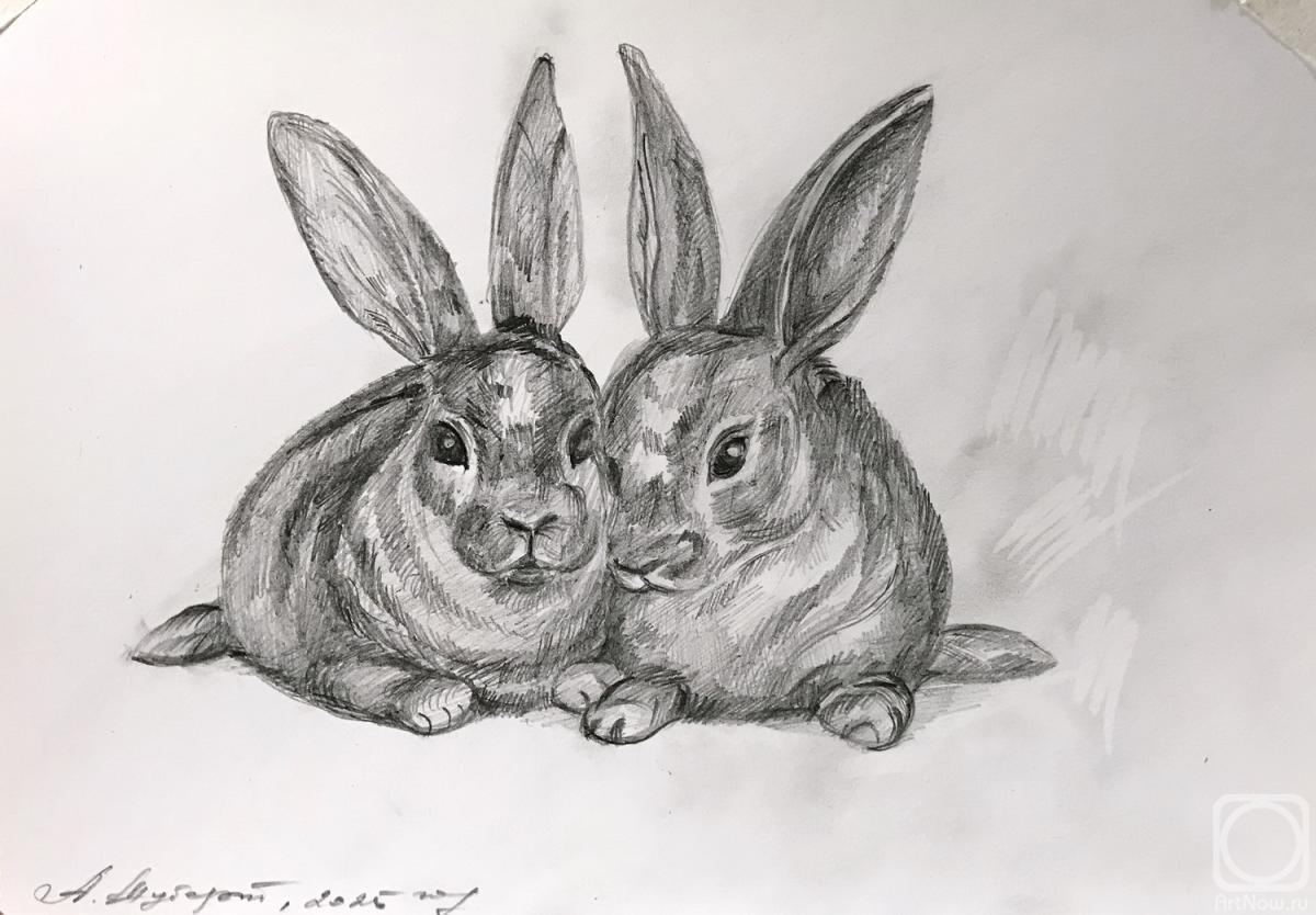 Schubert Albina. Untitled