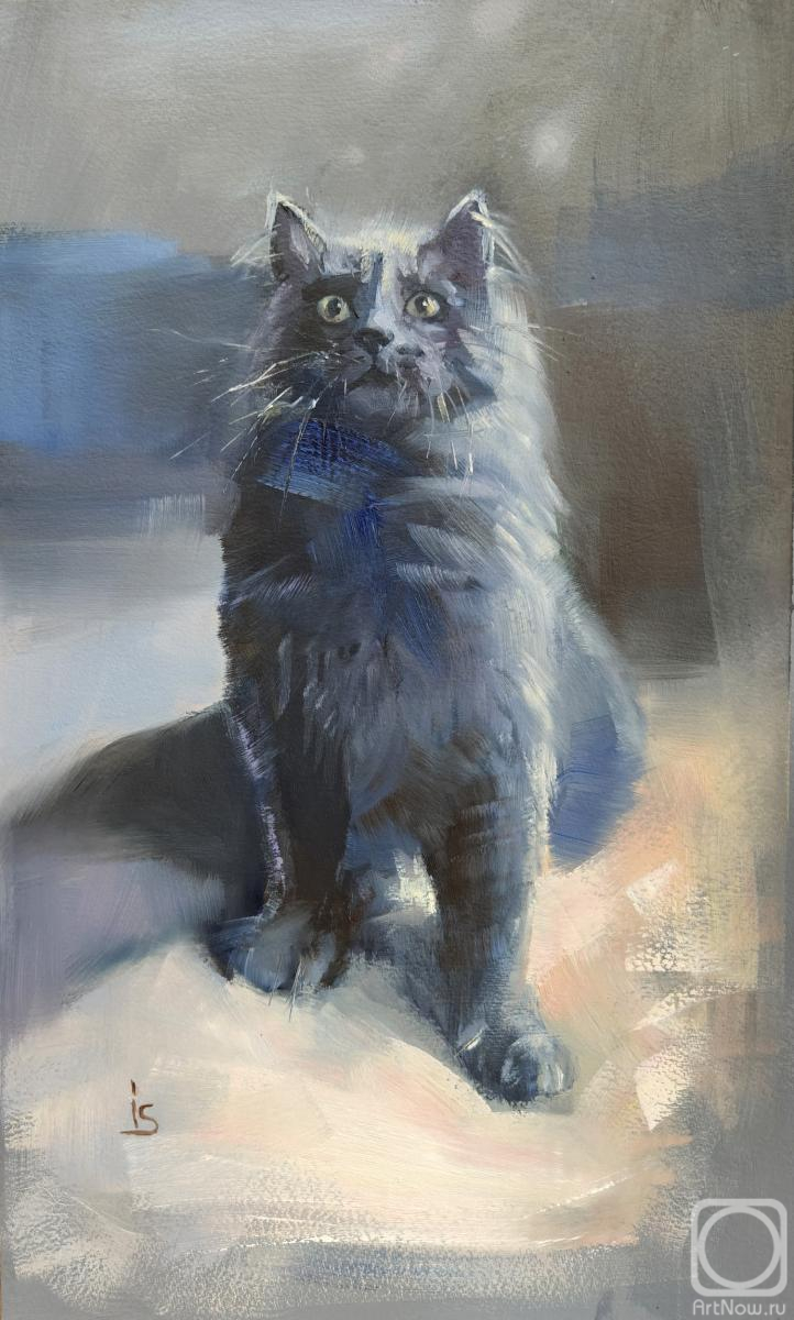 �������. �������� �����. �����