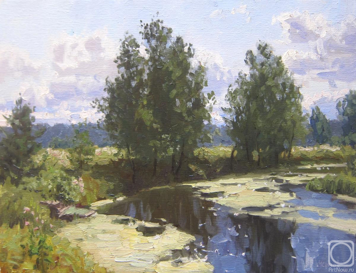 Chertov Sergey. Untitled