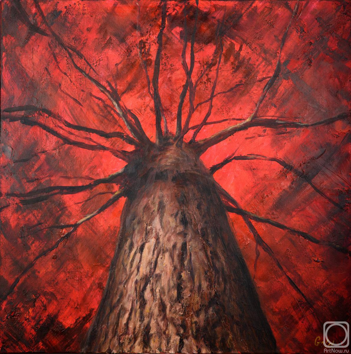 �������. ���������� �������. Upward