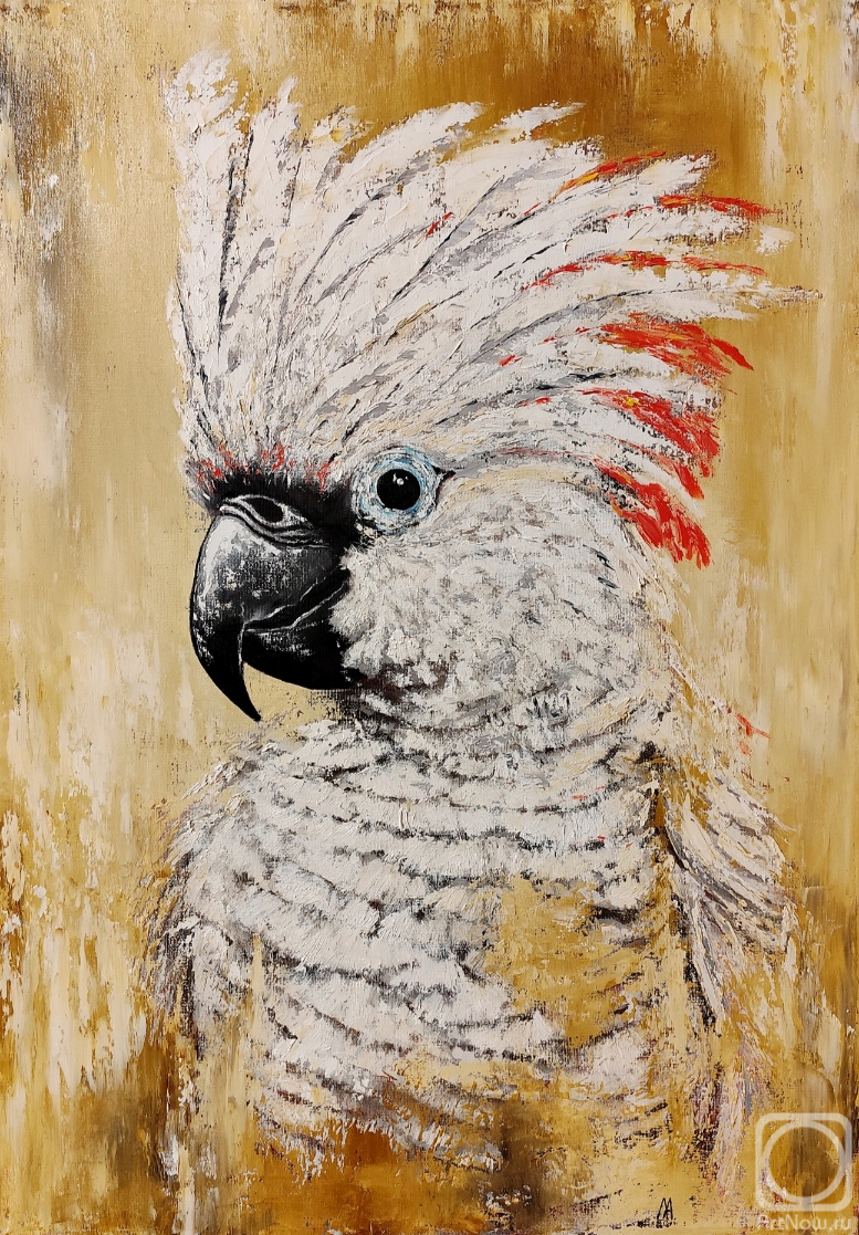 ������� ������ �� ������. �������� ������. ������� ������