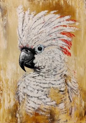 ������� �������� ������