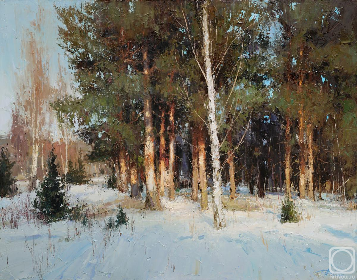 Burtsev Evgeny. On the forest outskirts
