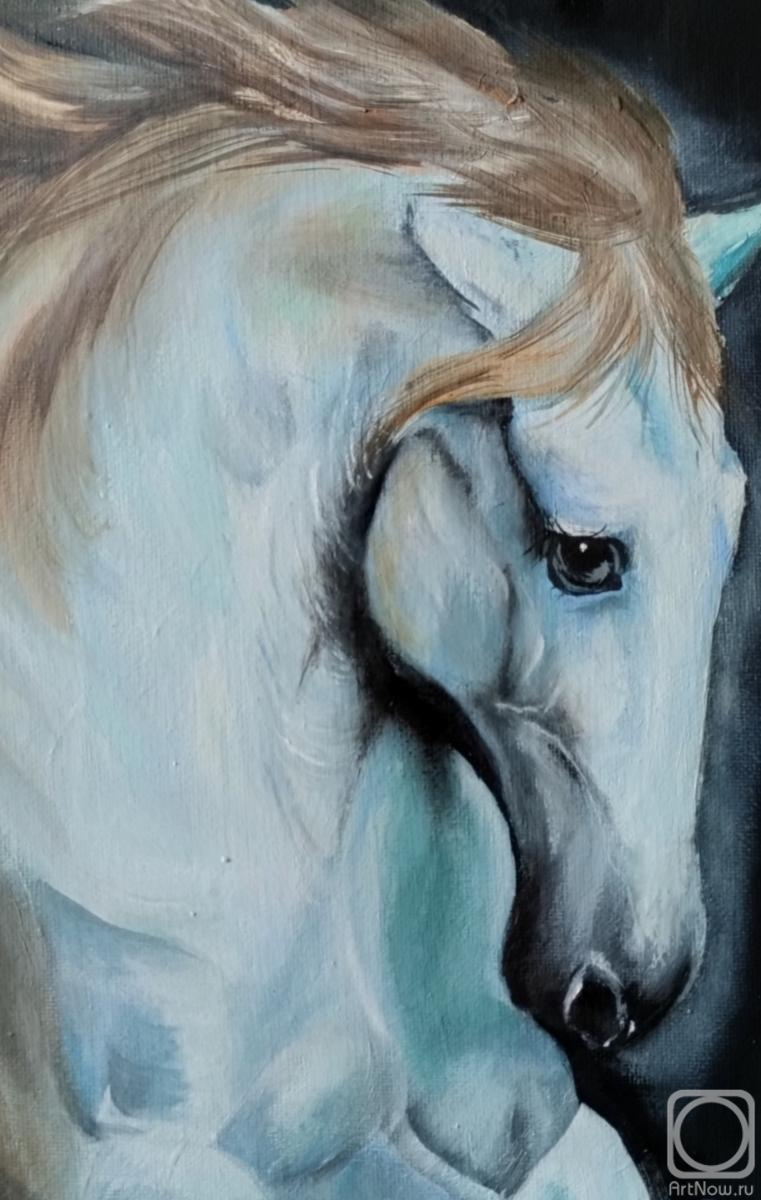 ������� ������ �� ������. �������� ������. ����� ������