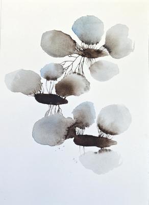 ������ �������