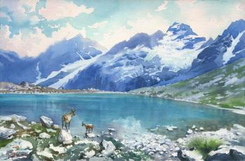 �� �������� �����. �����. ������� �����