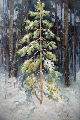 ������� � ������ ���� (������� �������). �������� �����