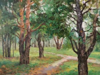 � ���������� ����� (������������ ��������). �������� �����