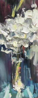 ���������. ���������� �����