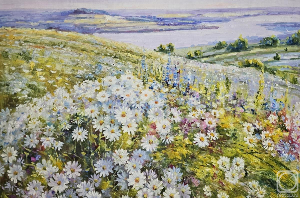 Smorodinov Ruslan. Daisies