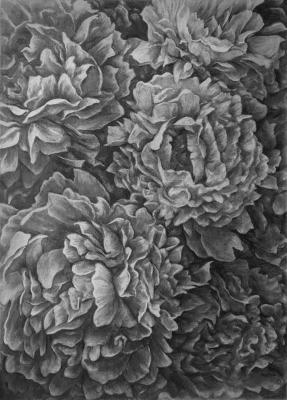 �����. ������� ������