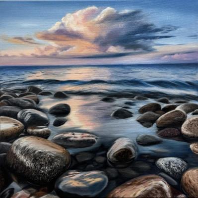 �������������