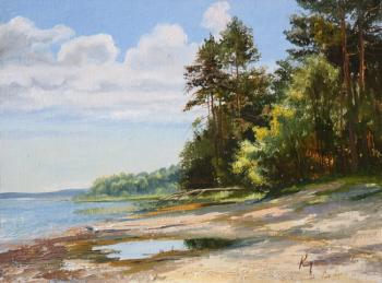 ������� ������ ������������ (����)�