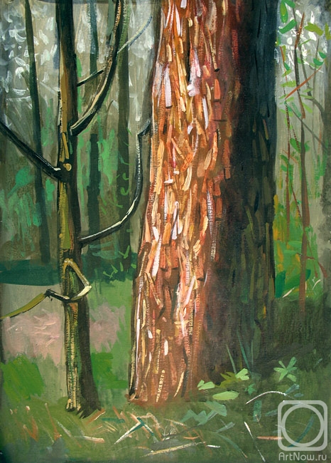 Yudaev-Racei Yuri. Pine-tree Stem and young Oaklet