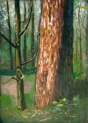 Pine-tree Stem and young Oaklet. Yudaev-Racei Yuri