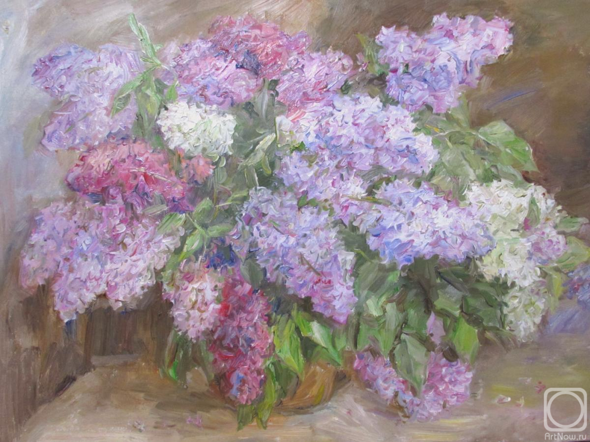 ������� ������ �� ������. �������� ������. ������