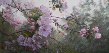 ������ � �����