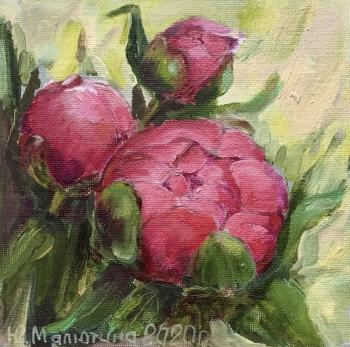 Pink Buds. Malyutina Yuliya