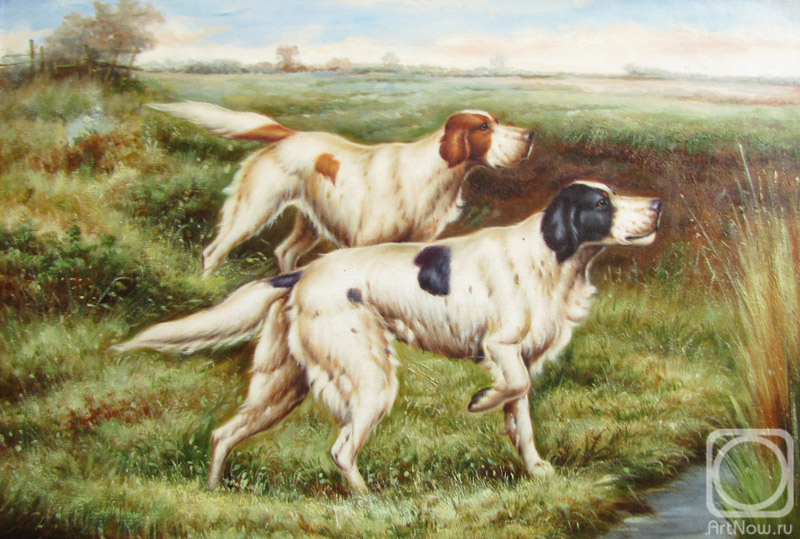 ������� ������ �� ������. ������ �����. ������ �� �����