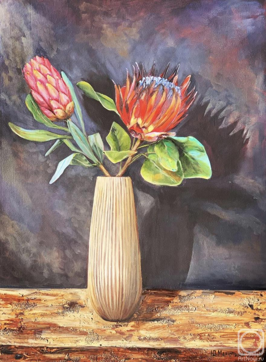 ������� ������ �� ������. �������� ����. Still life with protea