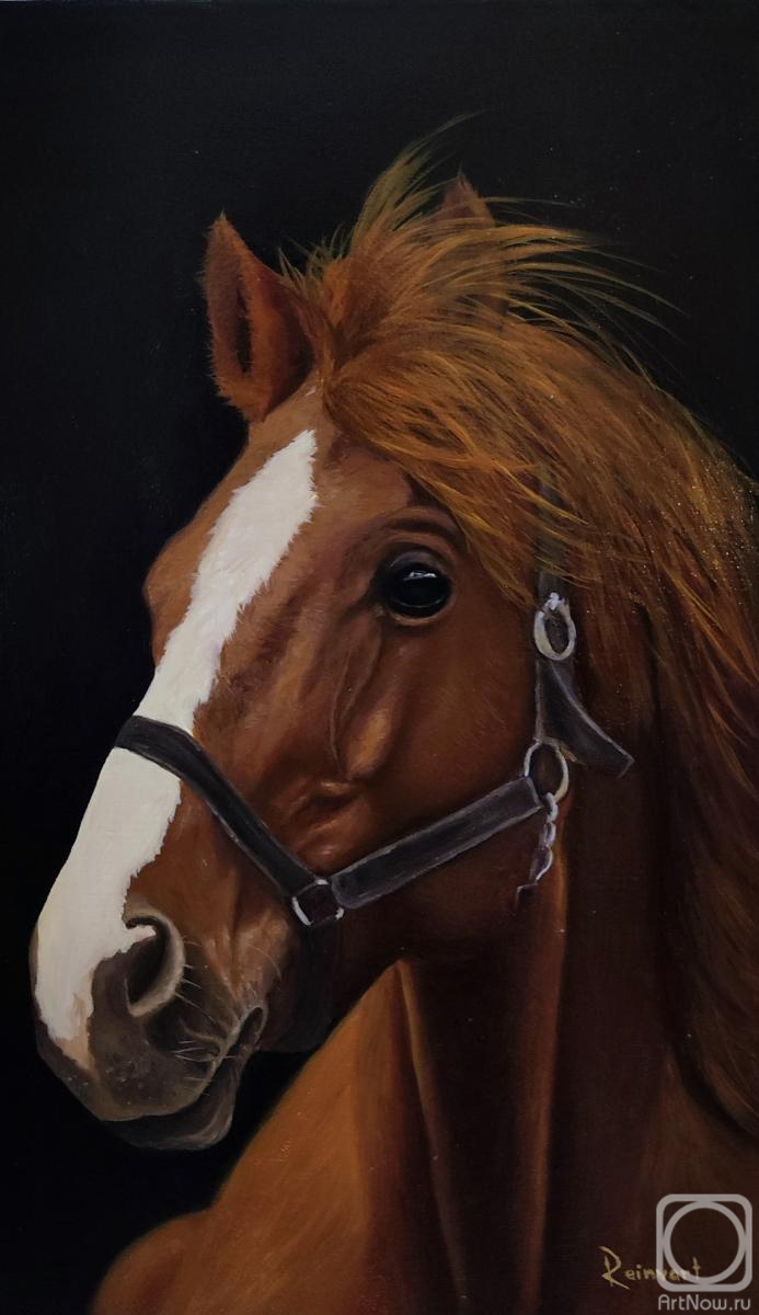 ������� ������ �� ������. �������� ������. �������� ������