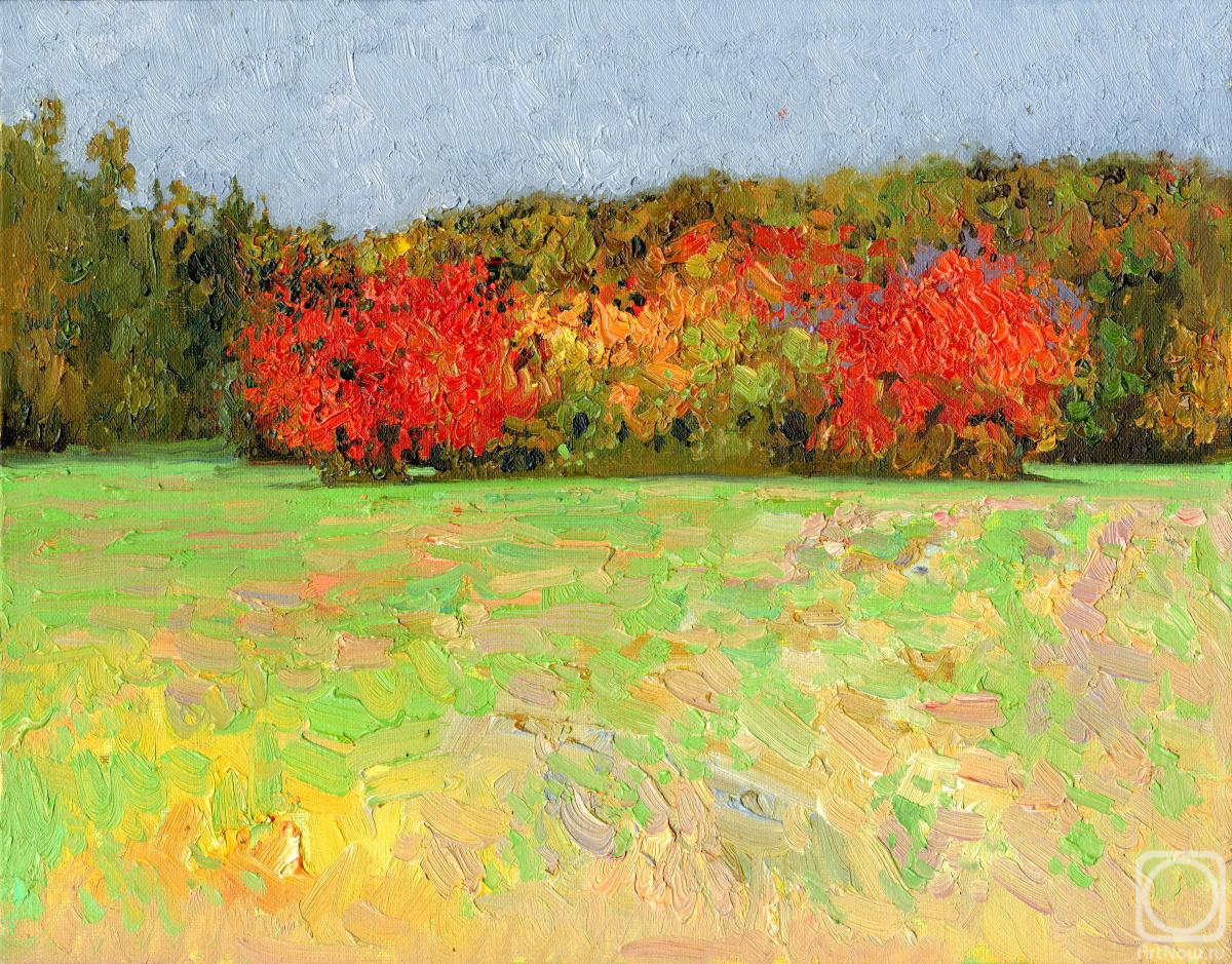 Kozhin Simon. Red bushes