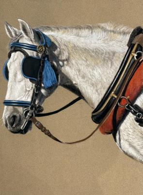 Let�s Go. Malyutina Yuliya