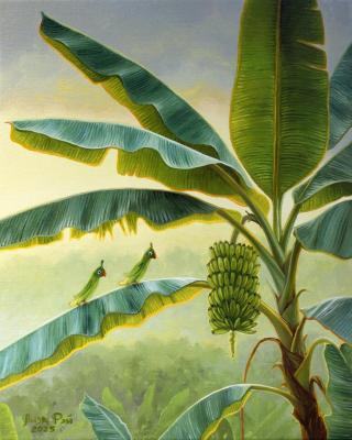 ���� ��� - ����������� ��� 1. ��� ����