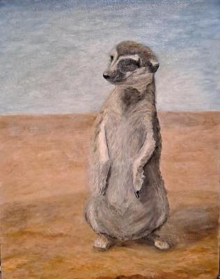 �������. ������� ���������