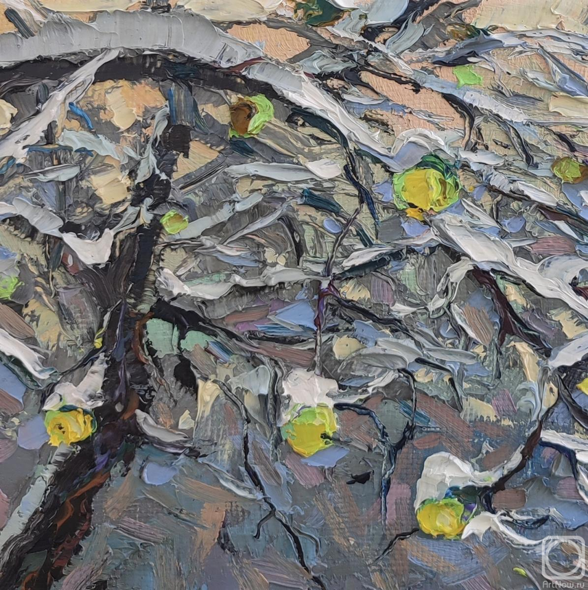 ������� ������ �� ������. ���������� �������. ������