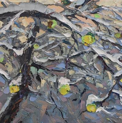 ���������� ������� ������������. ������