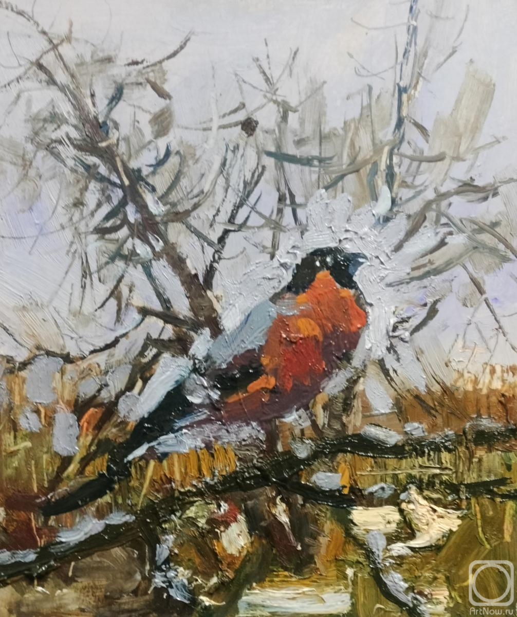 �������. ������� �������. ������ ���������