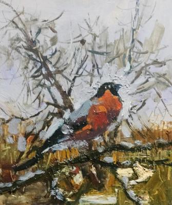 ������� ������� ����������