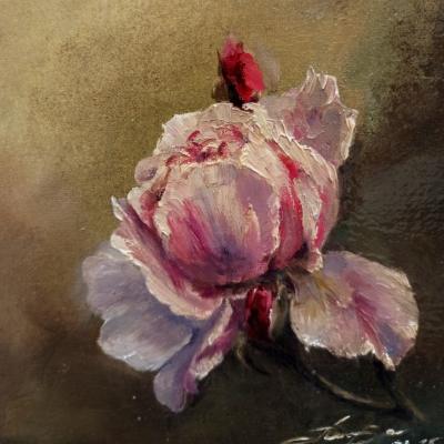 ��������. ��������� ���������