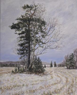 ������� ������� ������. ������ (5)�