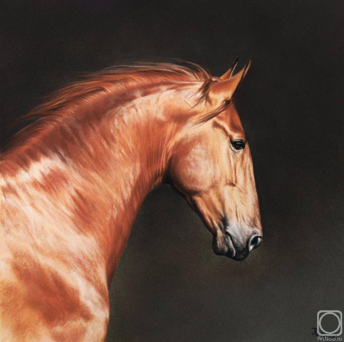 �������. �������� ����. ����� ����