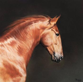 ����� ����. �������� ����