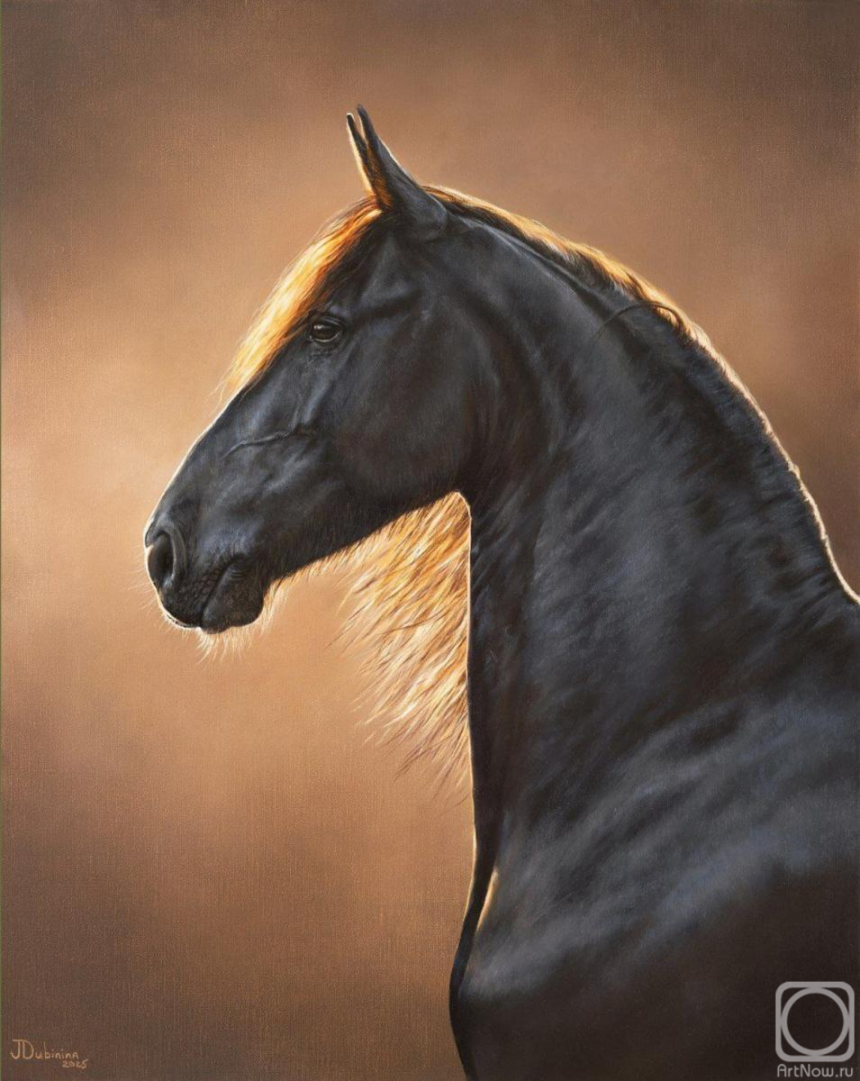 ������� ������ �� ������. �������� ����. �������� ����