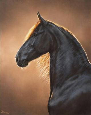 �������� ����. �������� ����