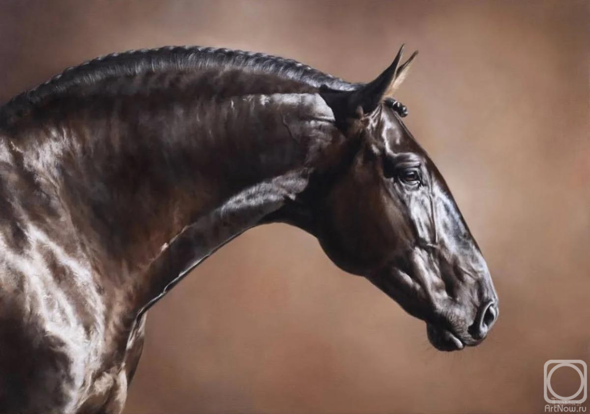 ������� ������ �� ������. �������� ����. ������� ��������