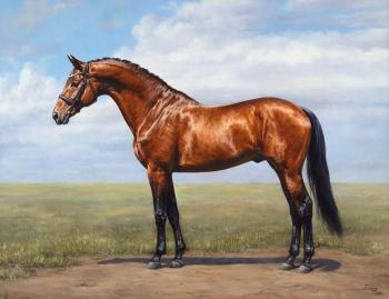 ������� ����� (������ ������). �������� ����