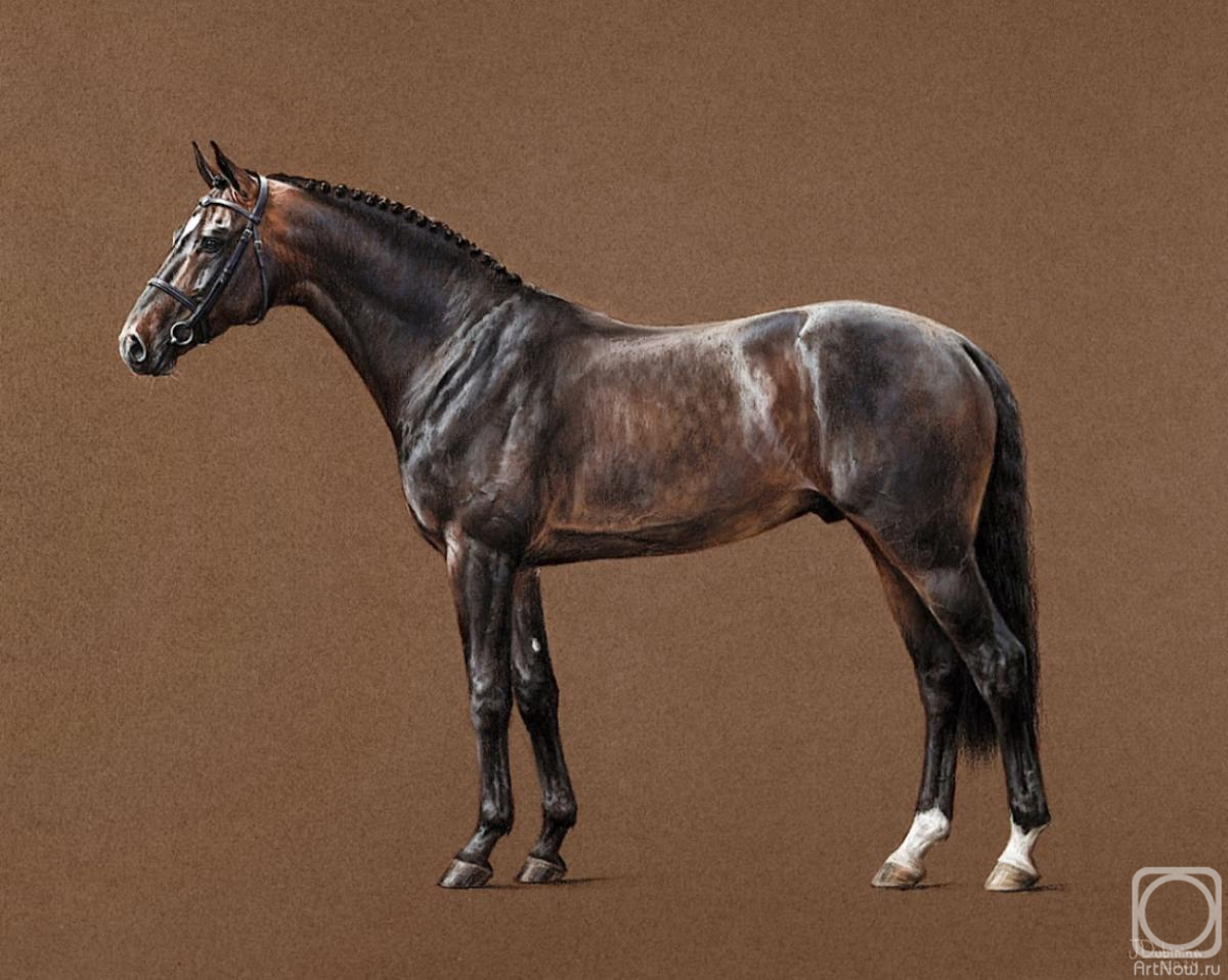 �������. �������� ����. ������������ �������