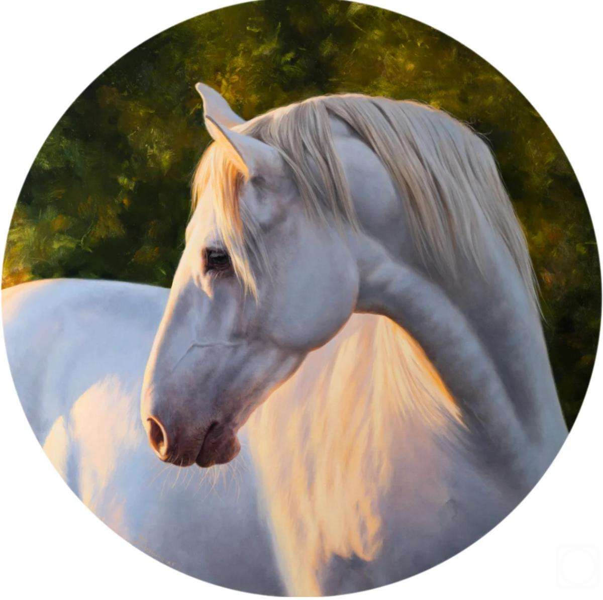 ������� ������ �� ������. �������� ����. ������