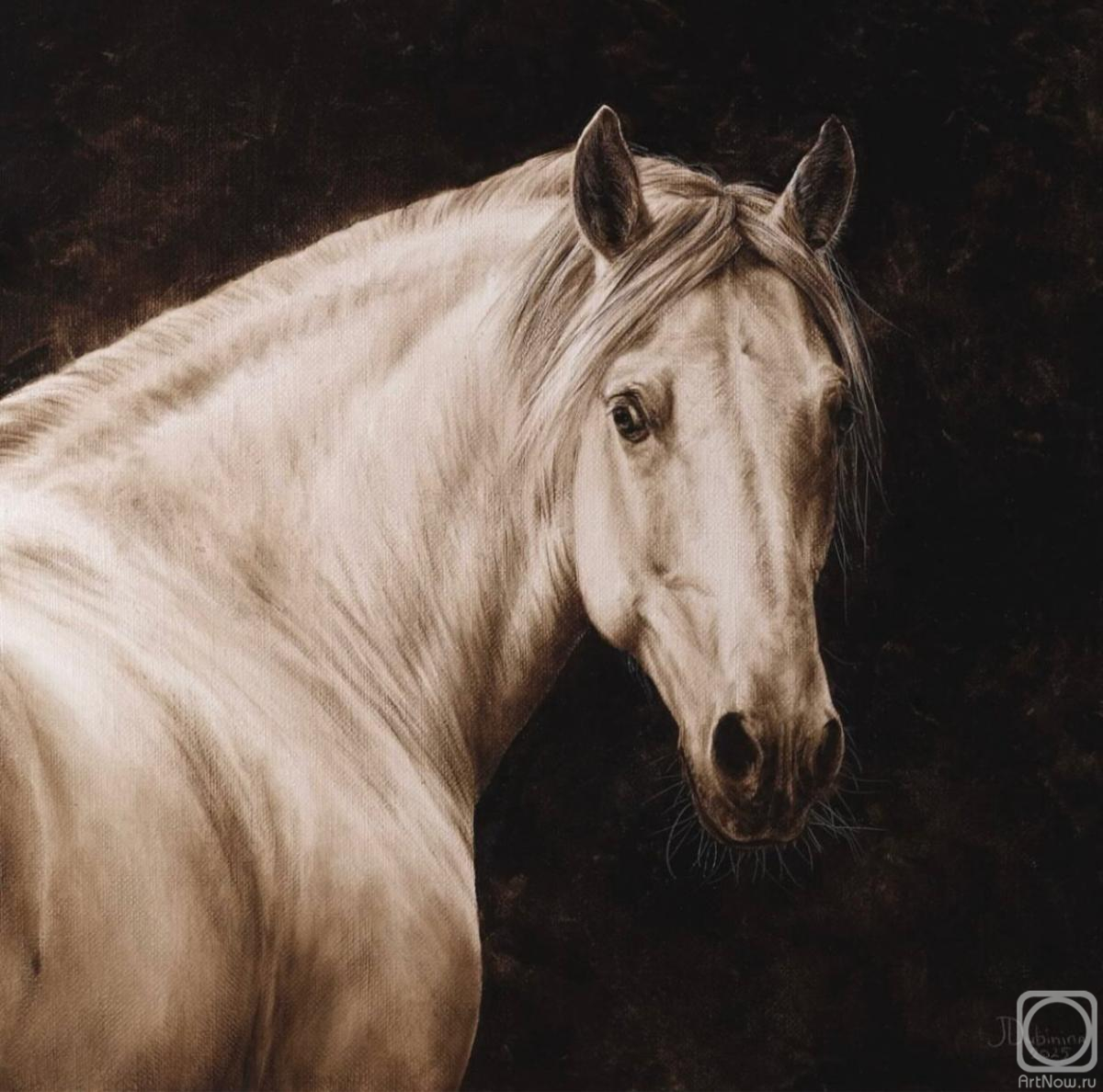 ������� ������ �� ������. �������� ����. ��������